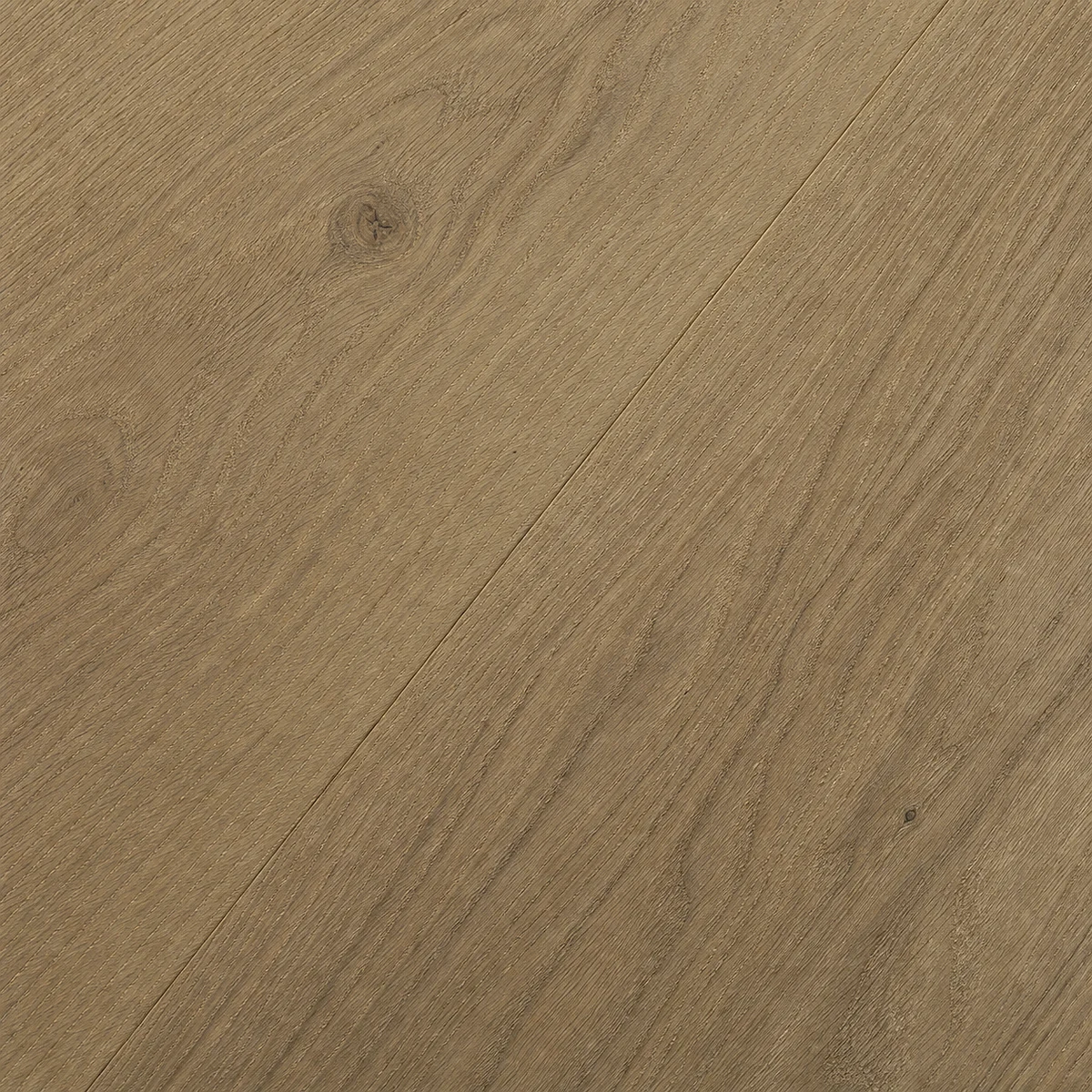 European Oak grain detail