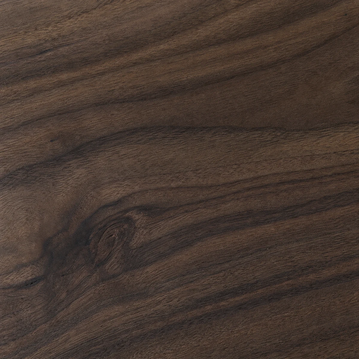 North American Walnut grain detail